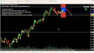 SilverTrader's Live Trading Meeting 30th December 2013