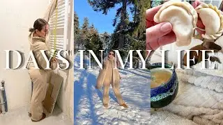 kolejny declutter i duży food haul | pierogi, retinal i łyżwy w Ottawie
