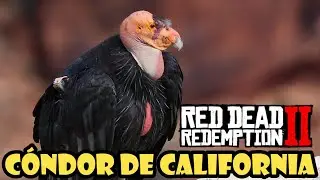 Donde encontrar el CÓNDOR DE CALIFORNIA en Red Dead Redemption 2✔️