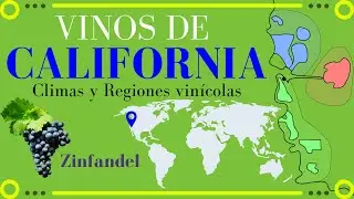VINOS de CALIFORNIA🍷 [Climas y Regiones vinícolas importantes]