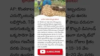 Coconut Prices Skyrocket 🔥 | Huge Relief for Coconut Farmers | Latest AP TG News