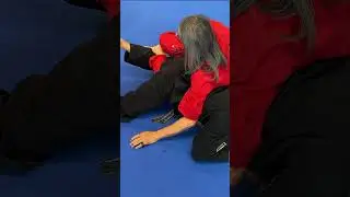 Leg Locks14 - Knee Compression by HwaRangDo&reg; GM Taejoon Lee Seminar 2023 Luxembourg