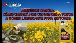 Aceite de Canola. Lubricante para motores.