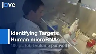 LightSwitch Luciferase Assay System: 3'UTR-Reporter Constructs & microRNA Mimic l Protocol Preview