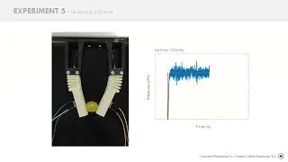 Grasping a Grape | 3D-Printed Soft Robotic Gripper based on SoPCAS Fingers
