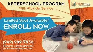 STEMTREE After School Program with Pick-Up Service