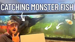 Fishing for MONSTER FISH to put in my 200 gallon tank!