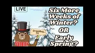 Groundhog Day LIVE
