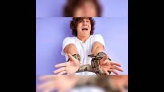 Light language for healing fear of snakes (Ophidiophobia)