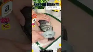how to use fish scale remover,fish scale remover review,electric fish scale remover
