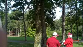 Lost Wedge