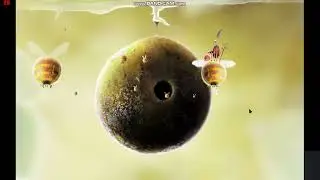Botanicula | 100% Walkthrough | Full Gameplay