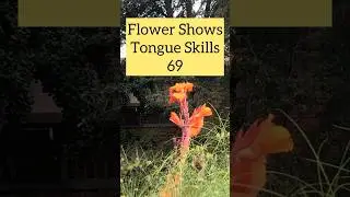 Flower Tongue Power?!