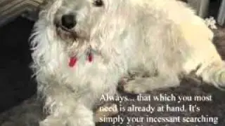 Quotes from The Universe ~ Mike Dooley