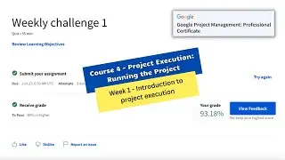 Project execution running the project weekly challenge 1 || Google Project Management