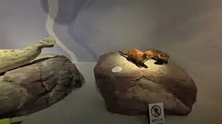 杭州西溪湿地博物馆