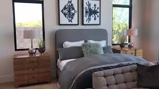 Shea Azure - 6878 Cactus Wren