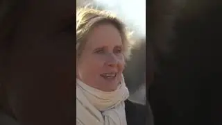 Sex in the City&rsquo;s Cynthia Nixon joins Gaza hunger strike | ABC News