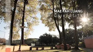 MFU: Leading University with International Recognition