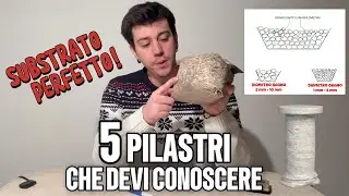 5 PILASTRI PER UN SUBSTRATO BONSAI PERFETTO