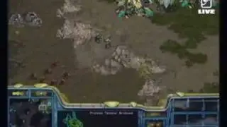 Pimpest Plays 2005 - Darkness: Anytime vs Yellow