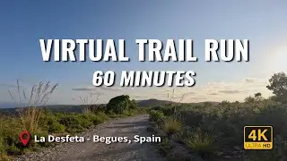 60 Minute Downhill Trail Run (4K) | Treadmill Workout | Scenic Sunset Mountain Views