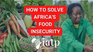 Can Free Trade Improve Africa's Food Security?