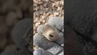 Digging Under An Abandoned Brothel!