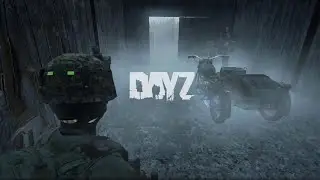 Мы выживали как могли | DAYZ