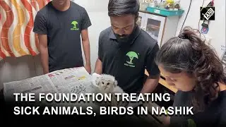 Maharashtra: Forest dept, Eco Echo Foundation saves birds, animals at Nashik
