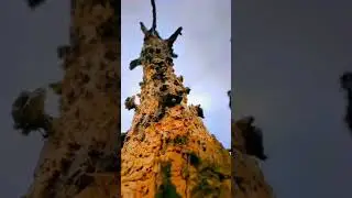 Estetik Video alam sekitar #shortvideo #story #nature