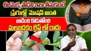 ఈ  బెరడుతోప్రేగుల్లో  ఉన్న మలం మొత్తం ఖాళీ అయిపోతుంది|  INSTANT Constipation Relief