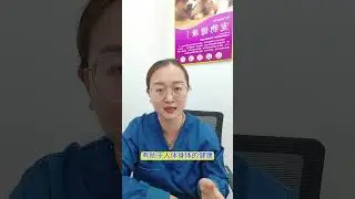 猫咪咬你的鞋子叼你的袜子，是在告诉你这些事 #养猫的日常  #养猫人  #新手养猫  #猫咪    #养猫经验分享