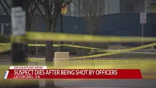 Deadly shooting at Leesburg Walmart believed to be connected to recent bank robbery attempt