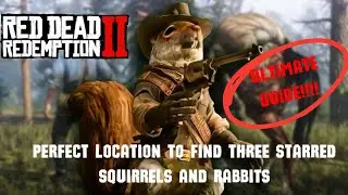 🎯💯🐿🐇 RDR2 Small Game Hunting Location and Guide &ndash; Get 3-Star Squirrels & Rabbits Fast