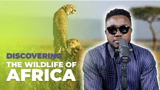 Discovering the Wildlife of Africa 2023
