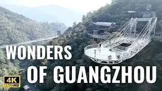 Wonders of Guangzhou| Exploring Its Landmarks and Natural Landscapes