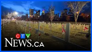 Calgary's Field of Crosses ceremonies begin