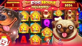 The Dog House Big win casino Tunisie بونيس عالمي🥳🥳🥳