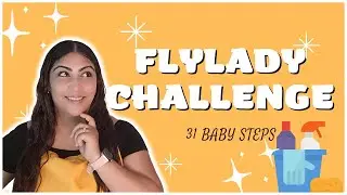 Fly Lady Challenge - Fly lady's 31 Baby Steps With A Twist