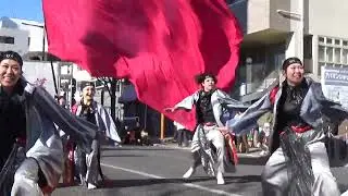 高崎だるま市(20260101)じゃぬだるま