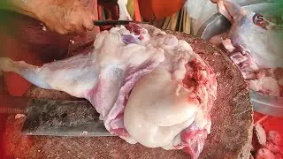 Excellent Best Meat Mutton Goat Cutting Skills | Bigs Meat Shop Karachi | @cuttingstore