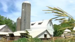 Mike Naig proposes Iowa Farm Act; union seeks clarity