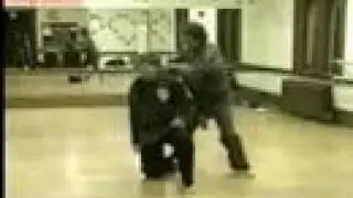 Paul Mills American Kenpo Speed Clip
