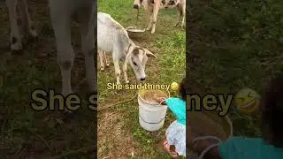 #youtube #funny #littlegirl #funnytalks #with #animals #love #viral #shortvideos #trending #explore