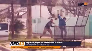 Ladrillazo en la cabeza