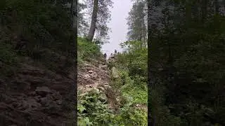 Hiking to Mushkpuri Top | Travel Adventure with Safarnama Ventures #shorts  #travel #nature #hiking