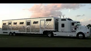 Ocala Horse Hauling Insurance │ Equine Transport