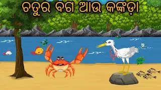 Baga O Kankada // Odia Bird Stories // Odia Chadhei Gapa // Nuaa Gapa Odia // Odia Moral Story