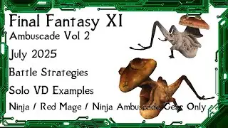 FFXI - Ambuscade Vol Two July 2025 Battle Strategies and Examples